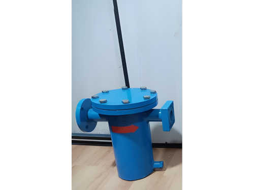 Basket Type Strainer