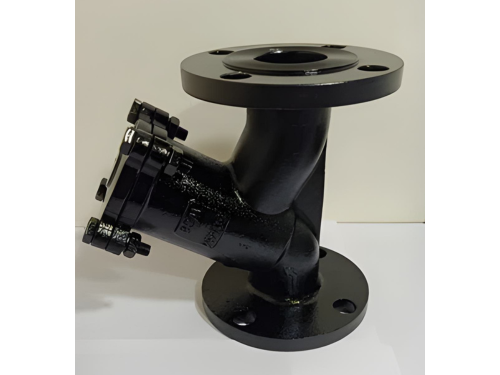Y Type Strainer